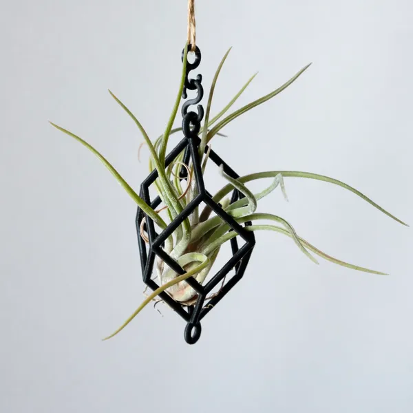 Hanging Air Plant Holder